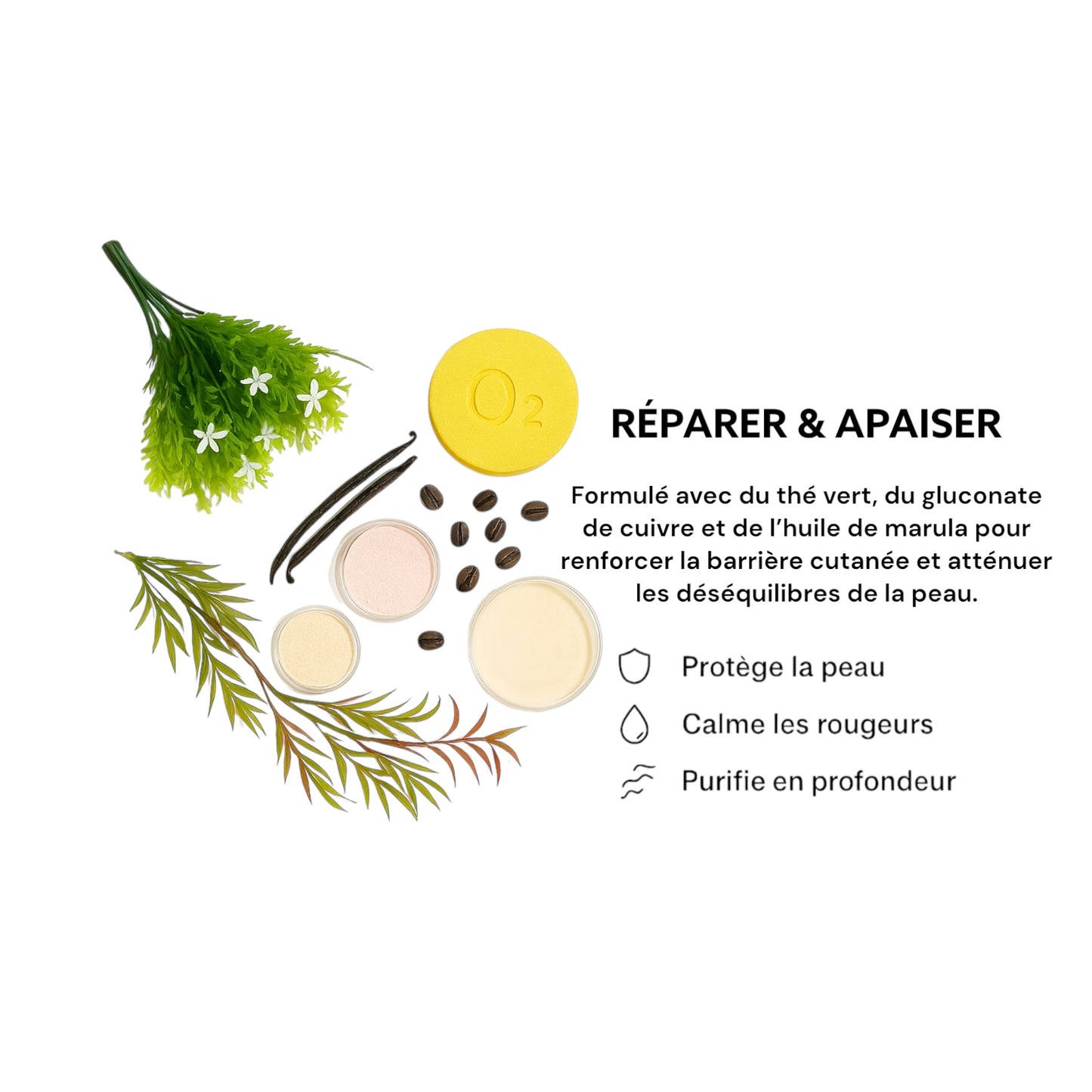 Kit Detox – Purifier & Clarifier